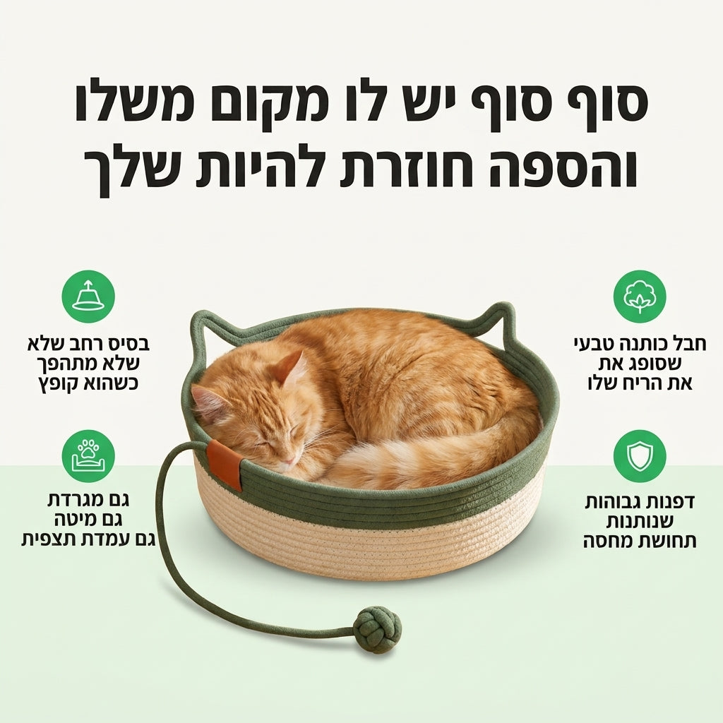 מקום משלו לחתול והספה נשארת שלך